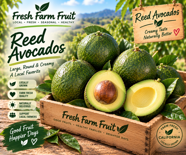 Reed Avocado